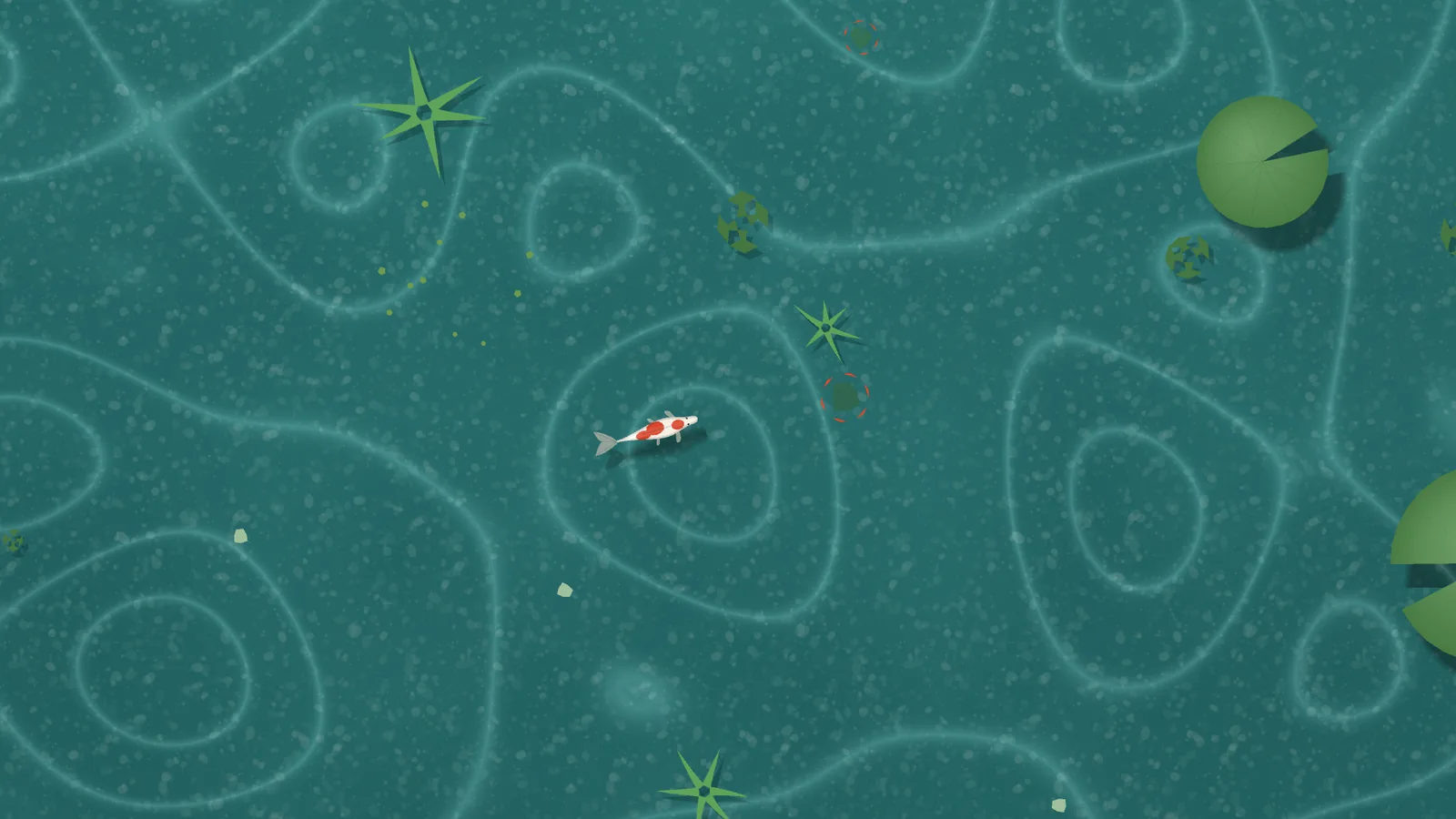 Koi Pond